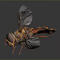 Modern Bee Ma Feng Wasp 3d model