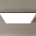 Modern Flush Mount Ceiling Light With Bright LED Lighting And Sleek Metal Frame Design 3d model