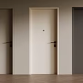 Modern Swing Doors In Different Colors With Sleek Handles And Minimalist Design For Home Interior