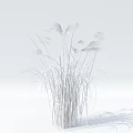 Elegant Pink Feathery Ornamental Grass With Long Green Stems And Lush Leaves For Garden Decor