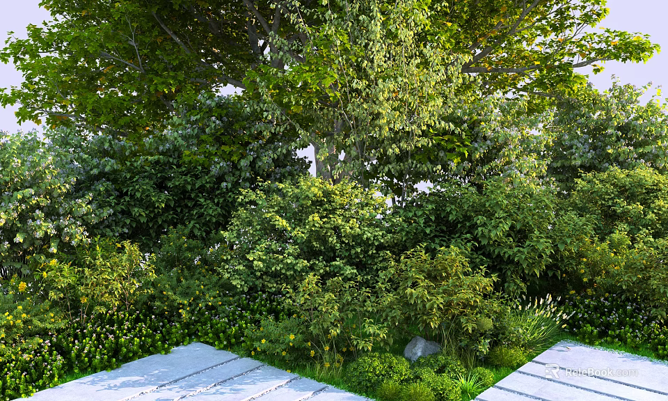 Lush Green Shrubs In Garden With Leafy Branches And Wooden Deck 3d model 