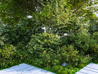 Lush Green Shrubs In Garden With Leafy Branches And Wooden Deck 3d model