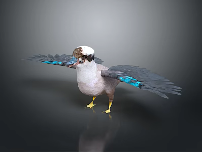 Bird With White Head Brown Beak And Blue Wing Feathers Spread Wings On Dark Background 3d model