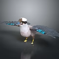 Bird With White Head Brown Beak And Blue Wing Feathers Spread Wings On Dark Background