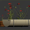 Red Flowers Growing In Tire Planter Clay Pot And Boat Shaped Container On Gray Background