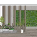 Modern Green Plant Wall With Wooden Slatted Screen And Potted Plants In Concrete Planters