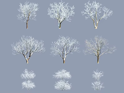 Arbor Trees Showcasing Various Canopy Shapes Sizes and Growth Forms 3d model