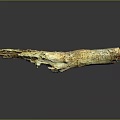 Natural Wooden Stone Log Piece With Rustic Texture And Weathered Surface