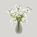 Transparent Glass Vase Holding Fresh White Flowers And Green Leaves