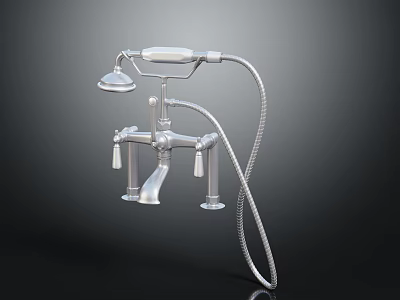 Modern Silver Shower Faucet With Fixed Head And Handheld Sprayer Controls 3d model