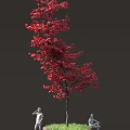 Vibrant Red Leaf Tree With Small White Statues In Lush Outdoor Setting