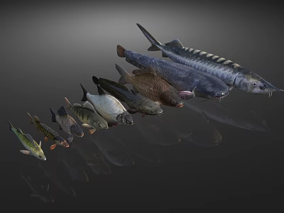 Different Types Of Aquatic Fish Swimming In A Line With Clear Reflections 3d model