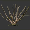 Decorative Tree Like Ornament With Slender Light Brown Branches And Green Moss Base 3d model