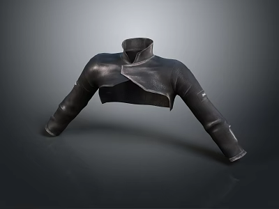 Black Leather Cropped Jacket With High Neck Stylish Long Sleeves Design 3d model