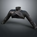 Black Leather Cropped Jacket With High Neck Stylish Long Sleeves Design