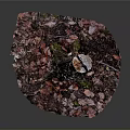 Artistic Plant Stump with Colorful Textures and Pink Purple Base Particles