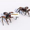 Two Colorful Reptiles With Detailed Legs And Red Eyes On White Surface