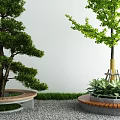 Circular Landscape Seats Around Trees With Green Plants And Pebble Ground