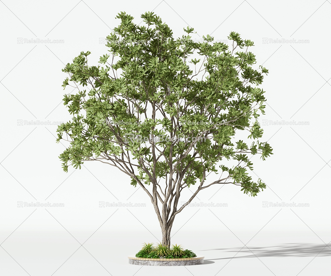 Trees Arbor 3d model