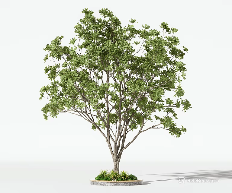Lush Green Arbor With Dense Foliage And Strong Trunk On White Background 3d model 