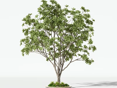 Lush Green Arbor With Dense Foliage And Strong Trunk On White Background 3d model