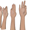 Various Gesture Arm Model Decorative Pendant Featuring Realistic Hand Poses 3d model