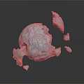 Wood Stone Broken Sphere Structure With Scattered Fragments And Textured Surface