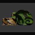 3D Frog Characters With Large Green Frog And Two Small Orange Frogs On Reflective Surface 3d model