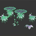 Purple Lotus Flowers with Large Leaves and Small Petals on Dark Background with Reflections
