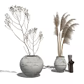 Rustic Ceramic Vases With Dried Branches And Pampas Grass Decorative Arrangement 3d model