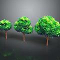 Three Lush Green Trees Standing Together With Dense Foliage And Brown Trunks