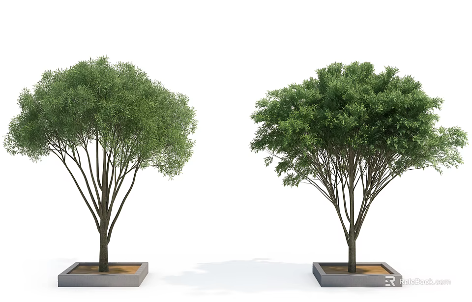 Two Trees with Lush Green Foliage in Square Concrete Planters for Outdoor Decorative Landscaping 3d model 