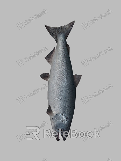 Realistic Fish Realistic Fish Salted Fish Sea Fish Food Tuna Salmon Food model