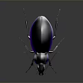 Metallic Blue Beetle With Shiny Exoskeleton On Dark Background Close Up 3d model