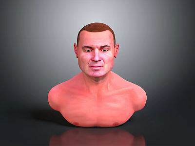 Man Bust With Bald Head And Shirtless Torso On Gray Background With Reflection 3d model