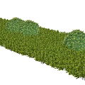 Well Trimmed Green Bushes In Landscaped Garden With Rounded Shapes And Lush Foliage