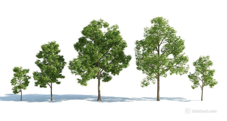 Three Green Arbor Trees With Various Crown Shapes And Brown Trunks 3d model