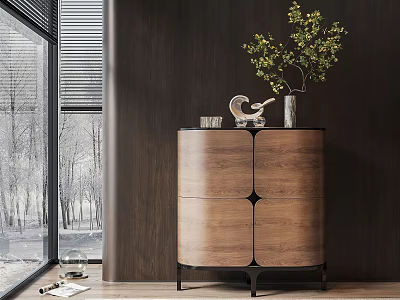 Modern Roche Bobois Side Cabinet 3d model