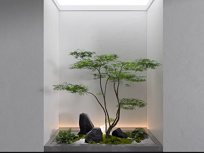 Modern Residential Landscape Design With White Walls Skylight Green Tree Black Rocks And Water Feature 3d model