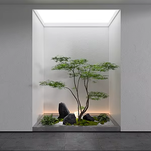 landscape landscaping indoor landscape courtyard landscape plant pile plant combination 3d model