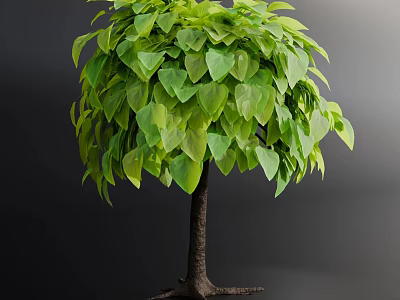 Lush Arbor With Dense Green Leaves And Strong Brown Trunk 3d model