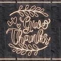 Neon Lighting Combination with Give Thanks Lettering Leaf Decorations and Hearts on Dark Stone Wall