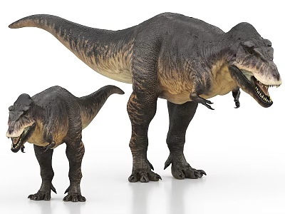 Realistic Large And Small Tyrannosaurus Rex Dinosaur Models With Detailed Texture 3d model