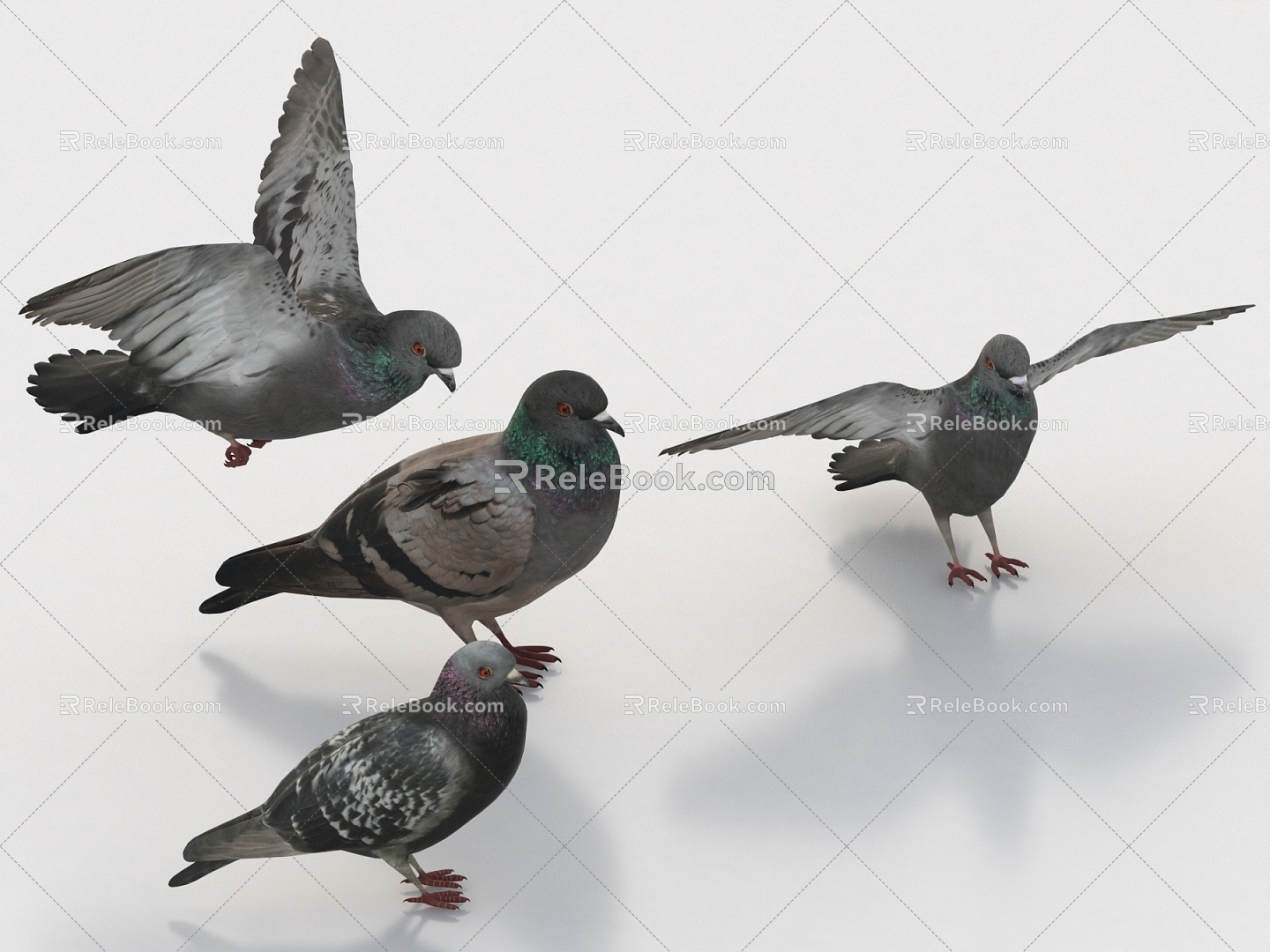 Pigeon Bird Bird Bird Peace Pigeon 3d model