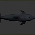 Realistic 3D Dolphin Model in Leaping Pose With Open Mouth Shiny Skin on Dark Background