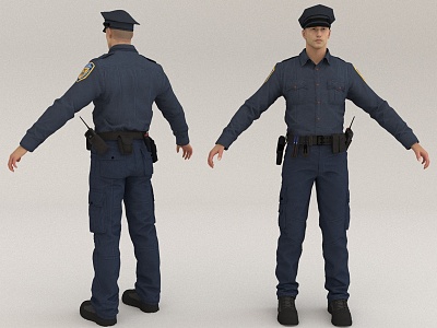 Professional Police Security model