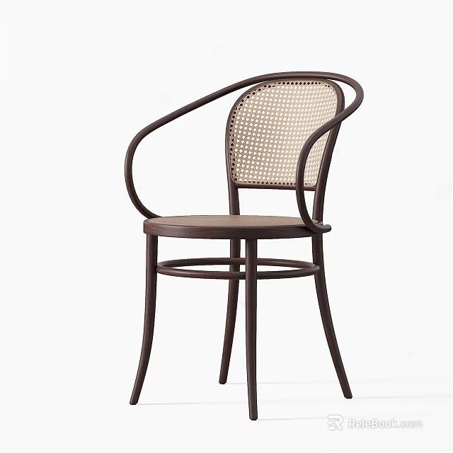 Modern Stylish Leisure Chair With Curved Frame And Woven Backrest Design 3d model 