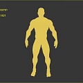 3D Rendered Muscular Human Figure White Anatomical Model Standing Pose