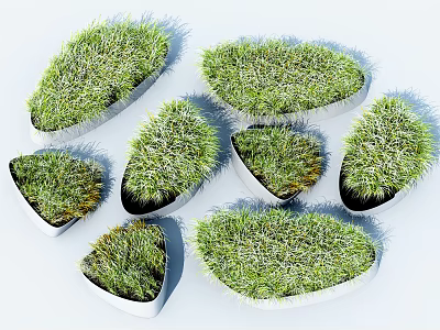 Multiple Green Grass Plants in White Irregular Shaped Decorative Containers 3d model