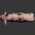 Adorable Pink Pig With Black Spots Standing On Shiny Surface With Gentle Expression